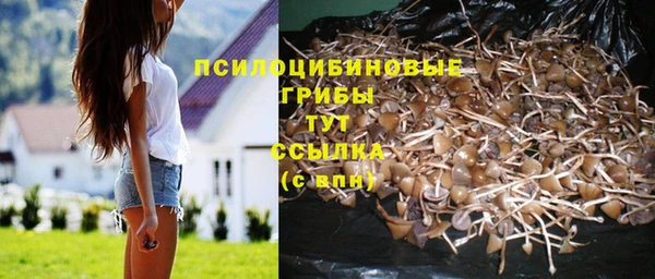 амф Новокубанск