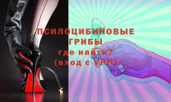 PSILOCYBIN Валуйки