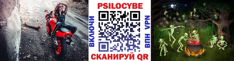 кракен онион  Кириши  Галлюциногенные грибы MAGIC MUSHROOMS  наркота 