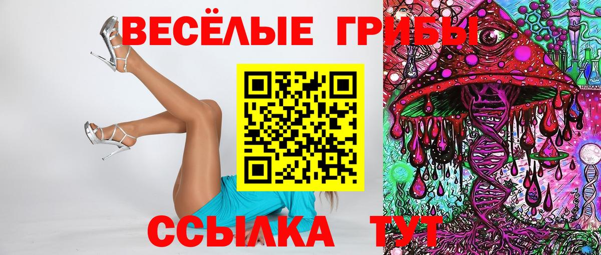 Галлюциногенные грибы Psilocybine cubensis Кириши