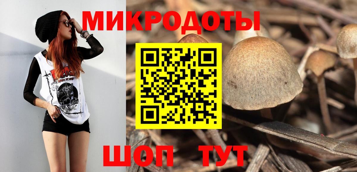Псилоцибиновые грибы мицелий  продажа наркотиков  Галлюциногенные грибы MAGIC MUSHROOMS  Кириши 